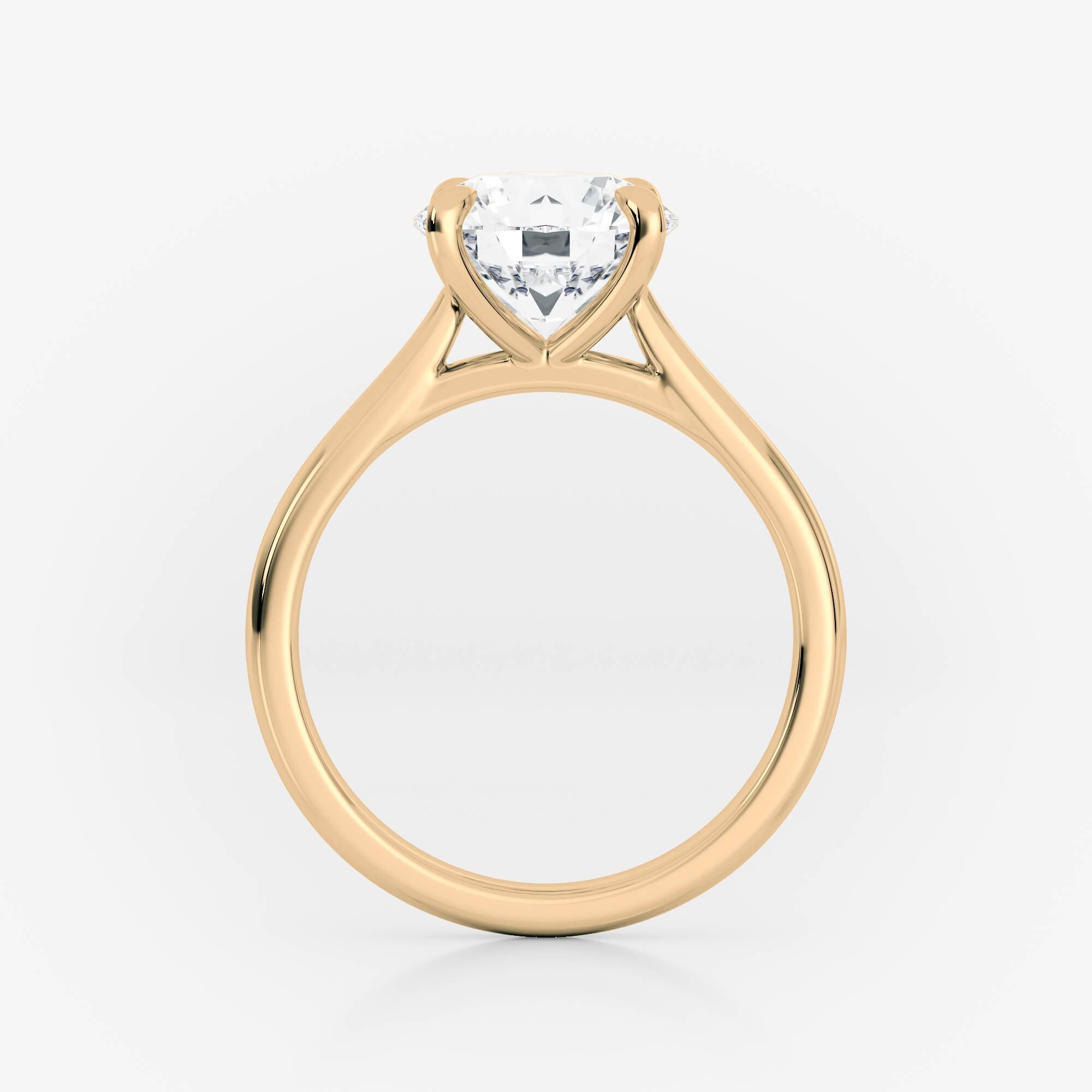 Cathedral Engagement Ring
