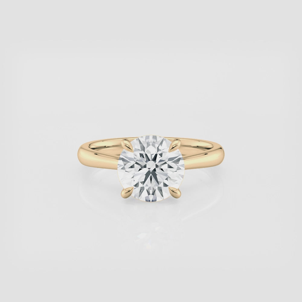 Cathedral Engagement Ring